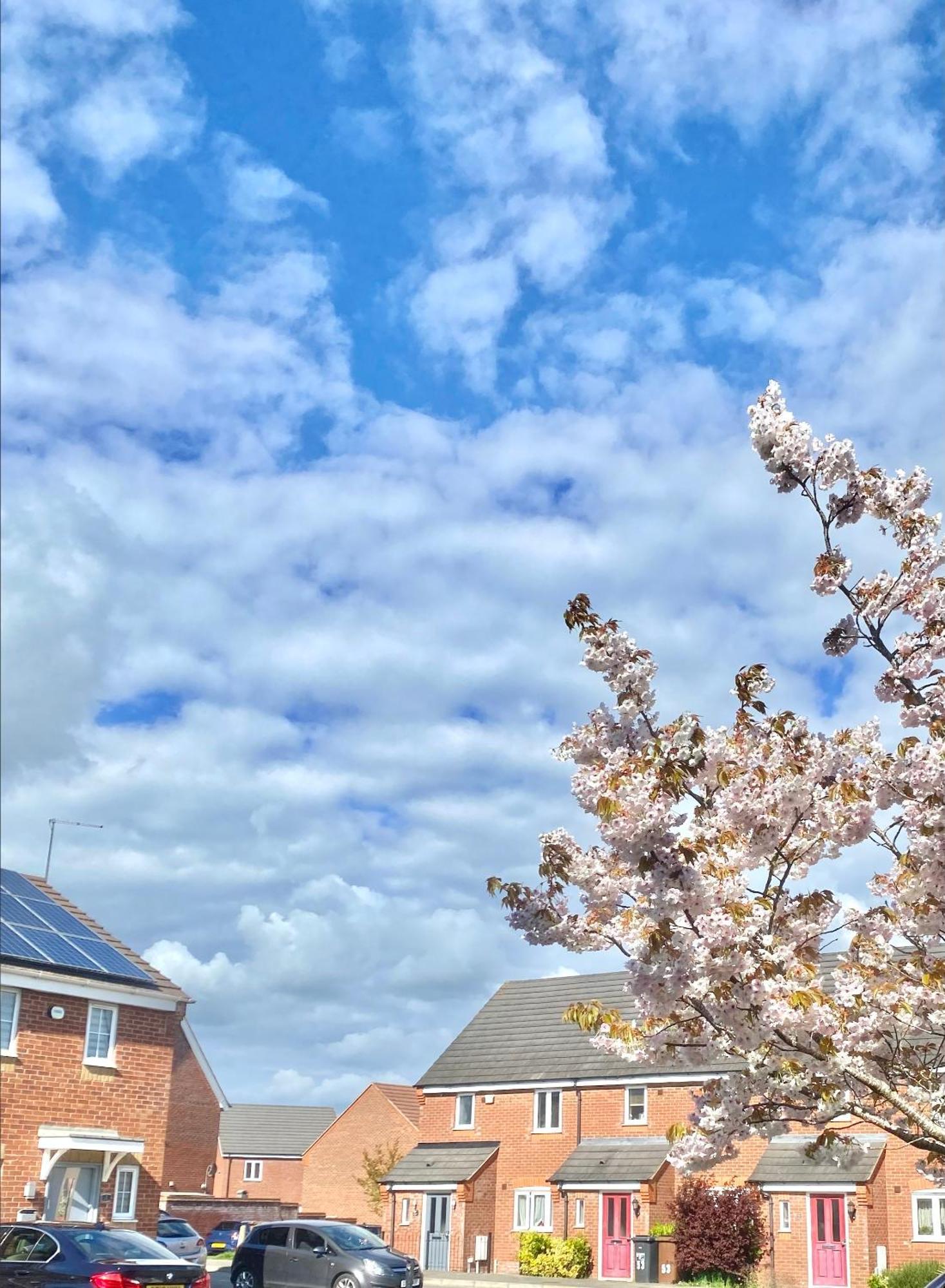 Villa Free Private Parking! Oakley House And Garden! Fully Equipped 4 Comfy Beds Corby Exterior foto
